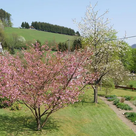 Pension&Ferienhaus Latröpchen-3